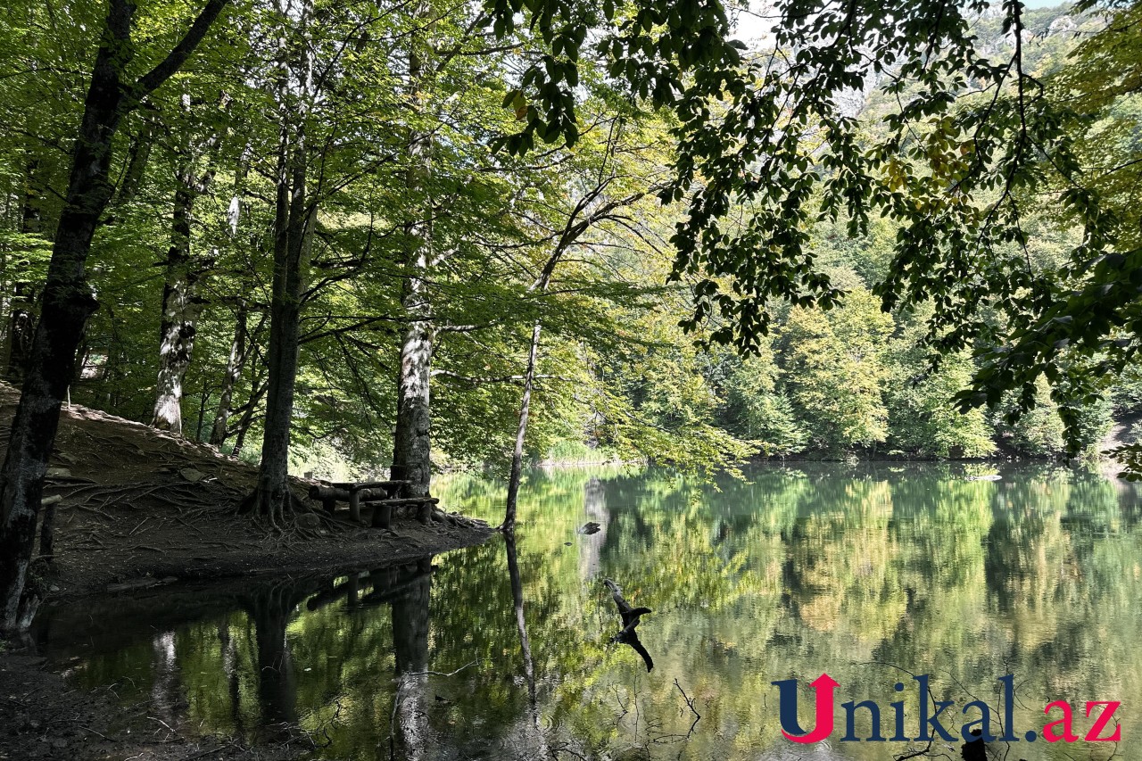 Adı "qara", özü cənnət - FOTOLAR